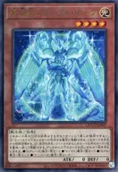 card_2445