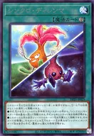card_2501