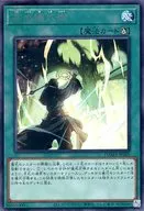 card_2558_