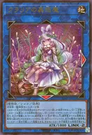 card_2680