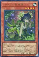 card_2683