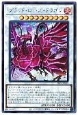 card_2720