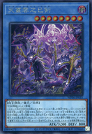 card_20850