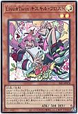 card_2731