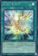 card_2991_series_2528_rarity_5_