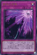card_3209_series_5072_rarity_77_