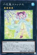 card_3256