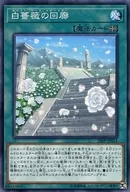 card_3438_