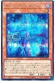 card_3493