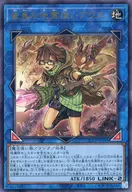 card_3528_series_2528_rarity_77_
