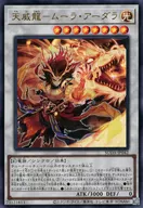 card_446