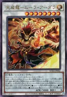 card_446