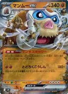 card_48798_series_61432_rarity_73311_