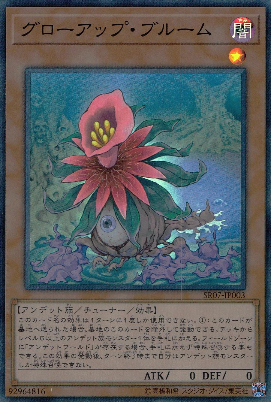 card_4319