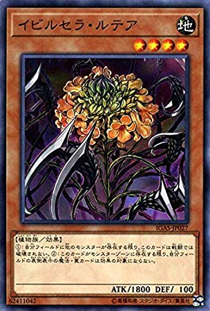 card_3506