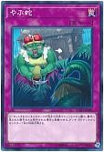 card_4802_series_10897_rarity_1_