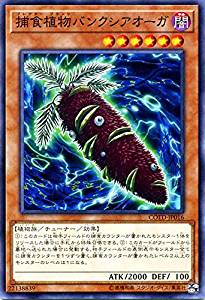 card_5319
