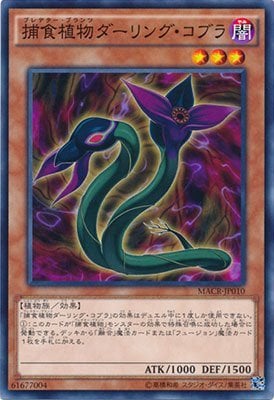 card_5428