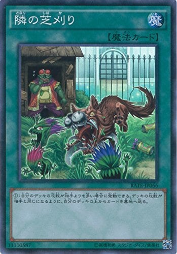 card_5583