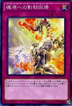 card_5591