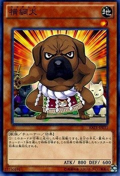 card_5597