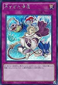 card_5955