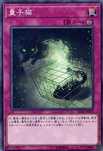 card_6331