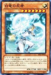card_8013