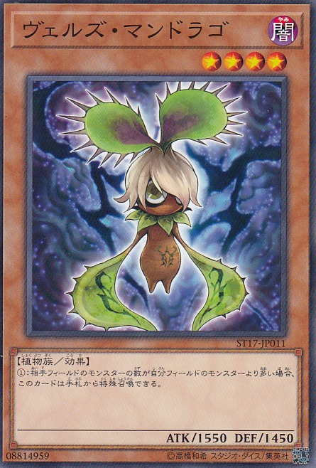 card_8482