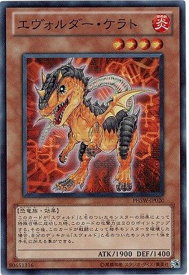 card_8562