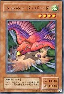 card_12513