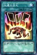 card_12562