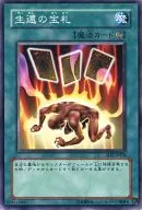 card_12562