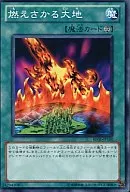 card_12655_series_28960_rarity_1_