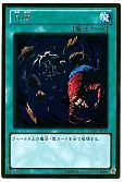 card_12863