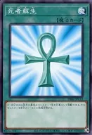 card_13406