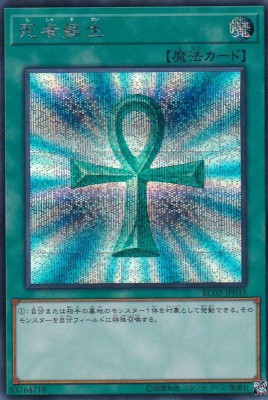 card_13406_series_8837_rarity_5_