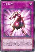 card_2130