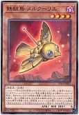 card_2144