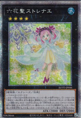 card_3256