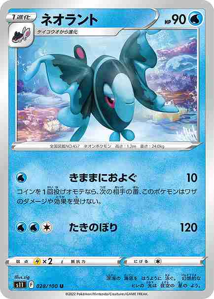 card_28213