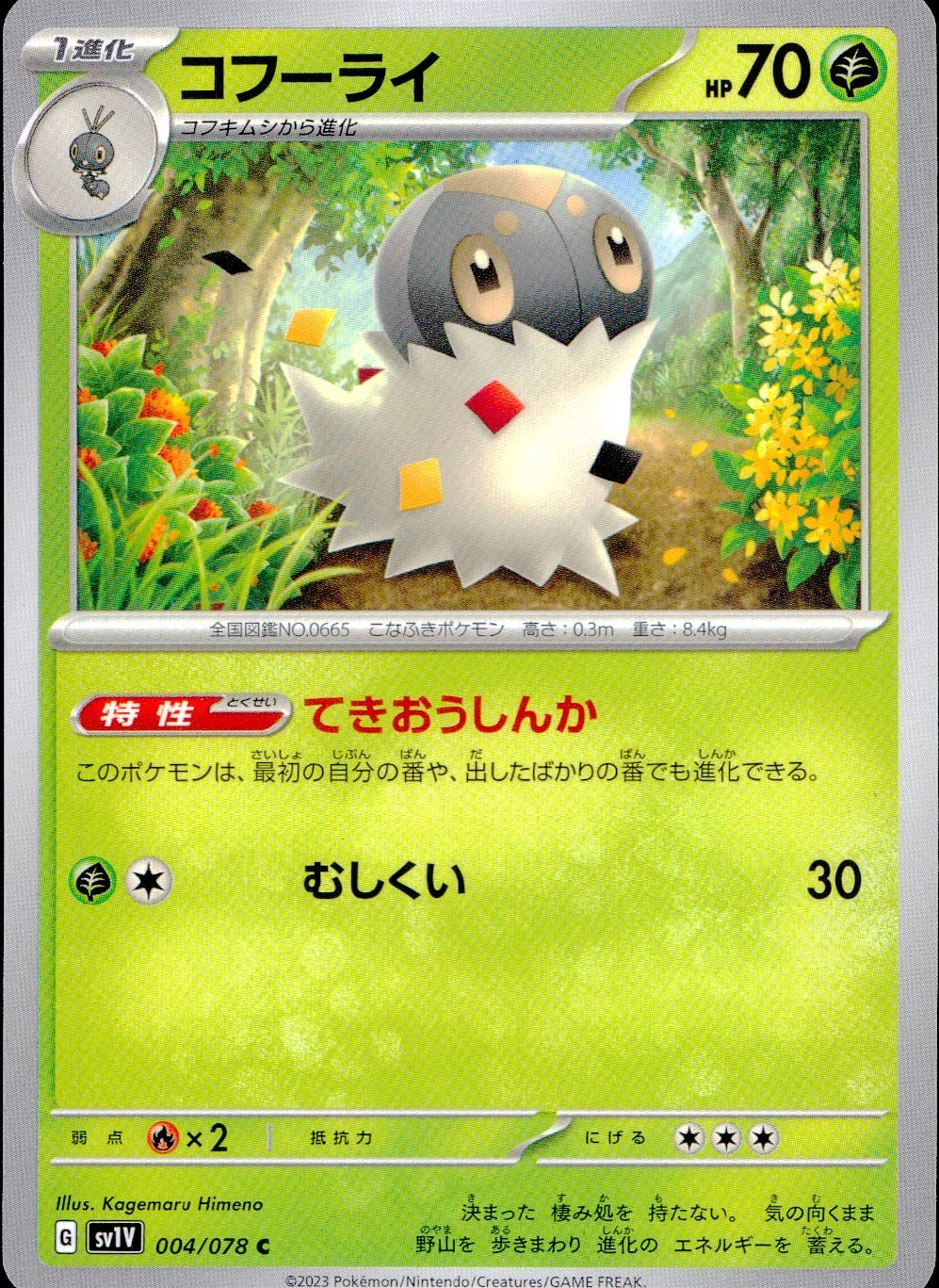 card_31782
