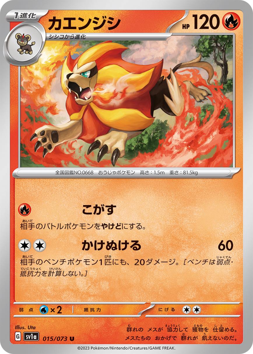 card_31946
