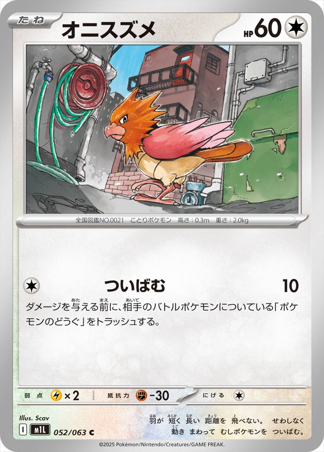 card23911-series61440-rarity65214