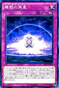 card_6843