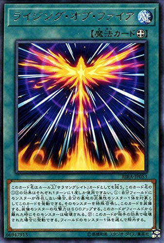 card_3955