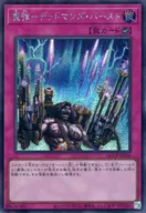 card5062-series2528-rarity5