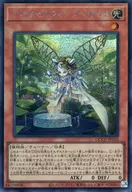 card5706-series2798-rarity5