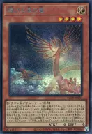 card902-series1759-rarity5