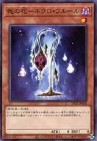 card8791-series5573-rarity1